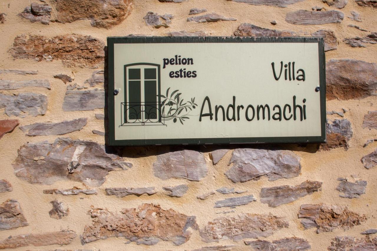 Villa Andromachi By Pelion Esties Ano Gatzea Exteriör bild